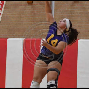 Meet your Posher, Joy